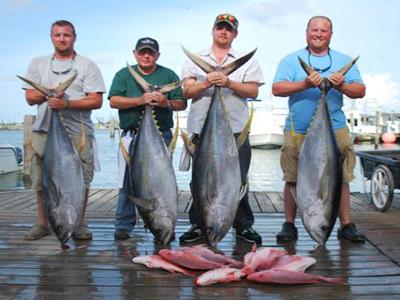 Marlin Fishing Charters Venice, LA, Gulf of Mexico